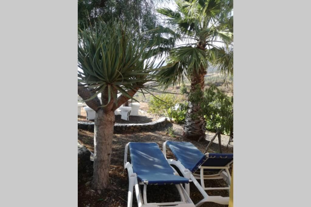 Holiday home Casa Laderitas B